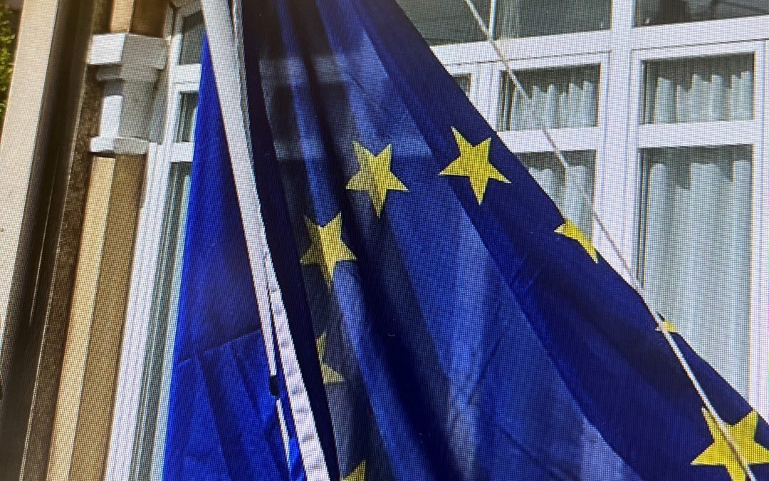 Celebración del día de Europa