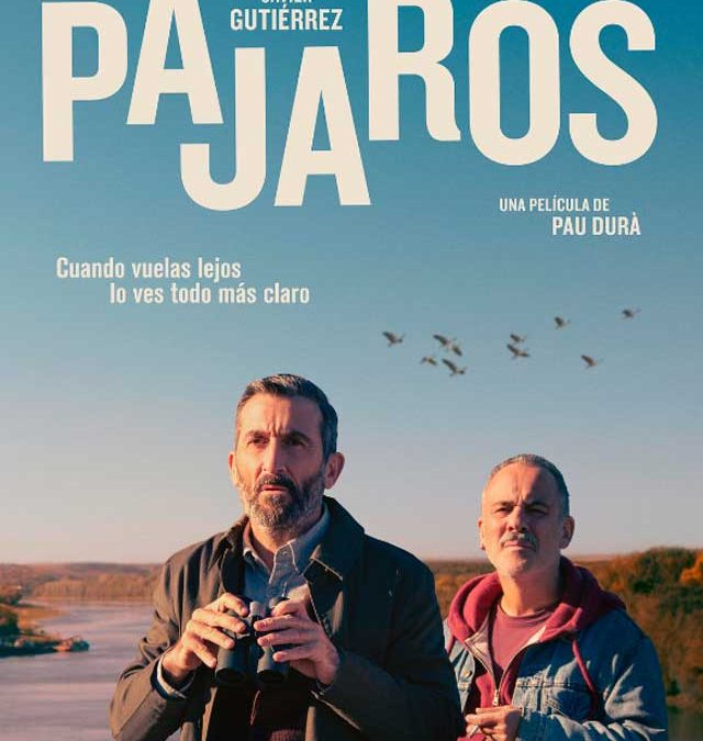 Cine: Pájaros