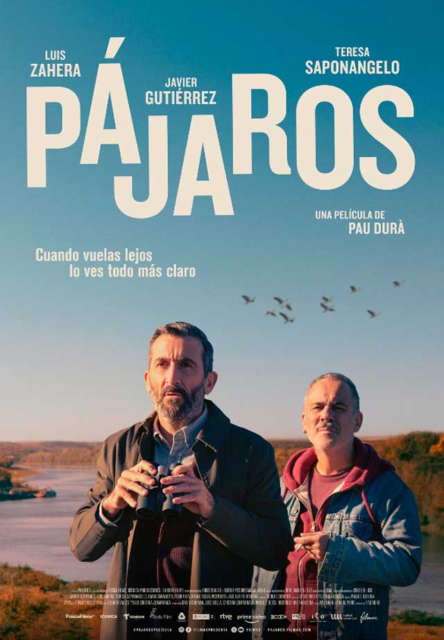 pajaros-