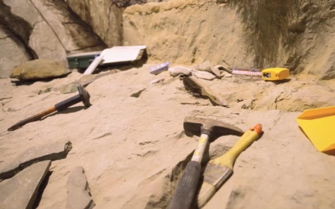 Visita guiada Excavación arqueológica Necrópolis Cerro de San Miguel