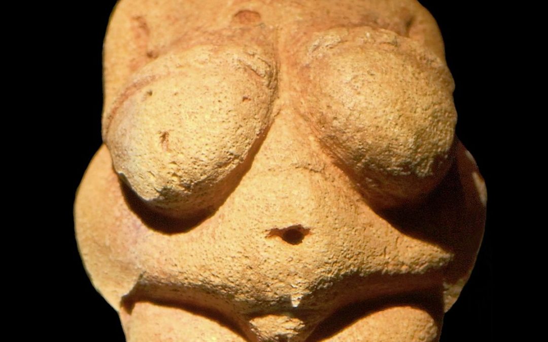 Las Venus del Museo de Ciencias Naturales Santiago Jiménez de Arnedo