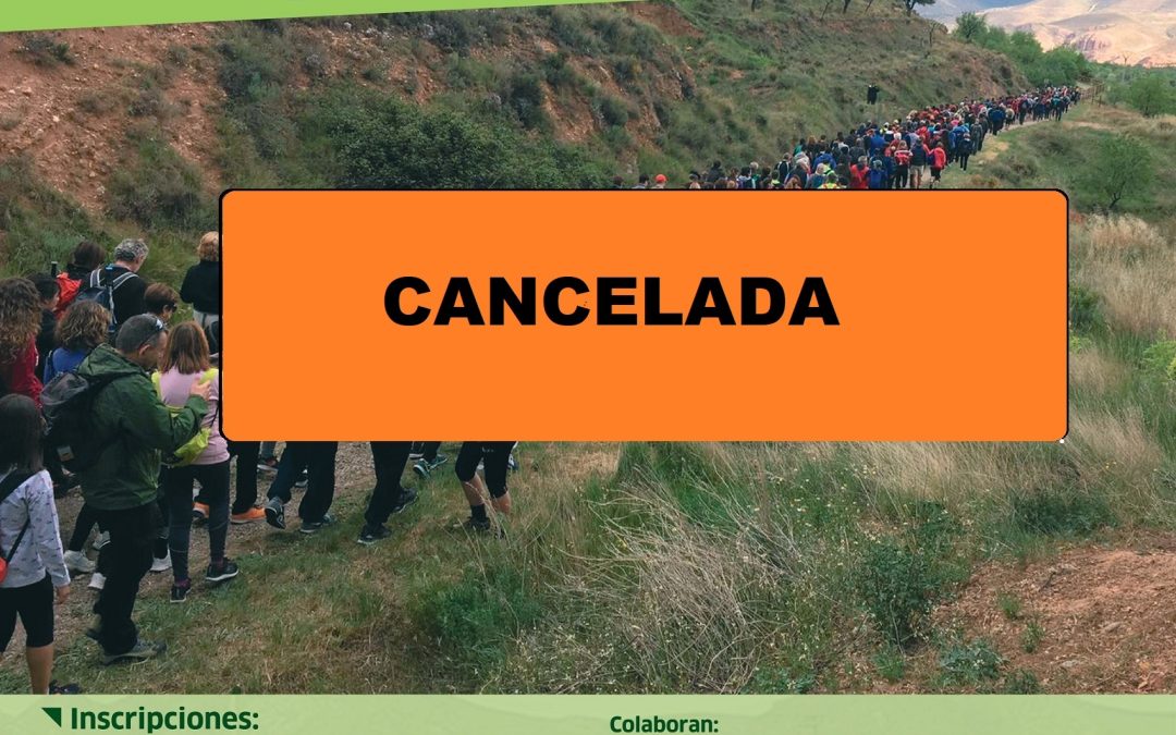 XXI  Marcha Vía Verde del Cidacos