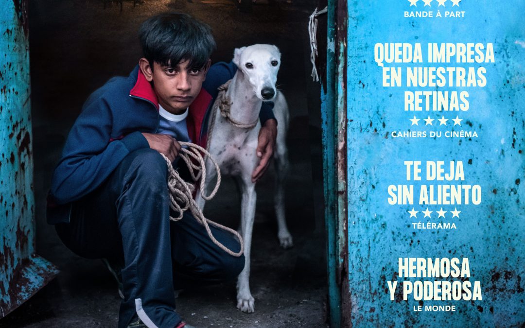 Cine Club – Preestreno: Ciudad sin sueño