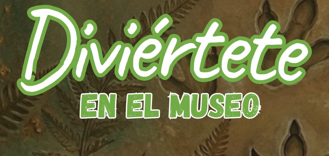 Diviértete en el Museo