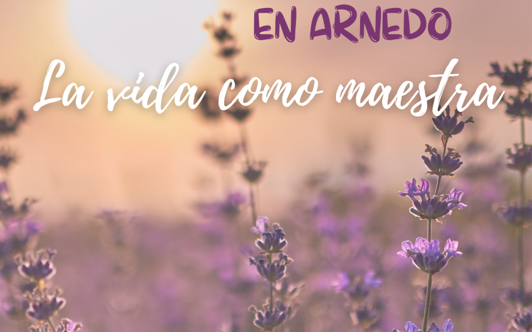 II FORO DEL BIENESTAR