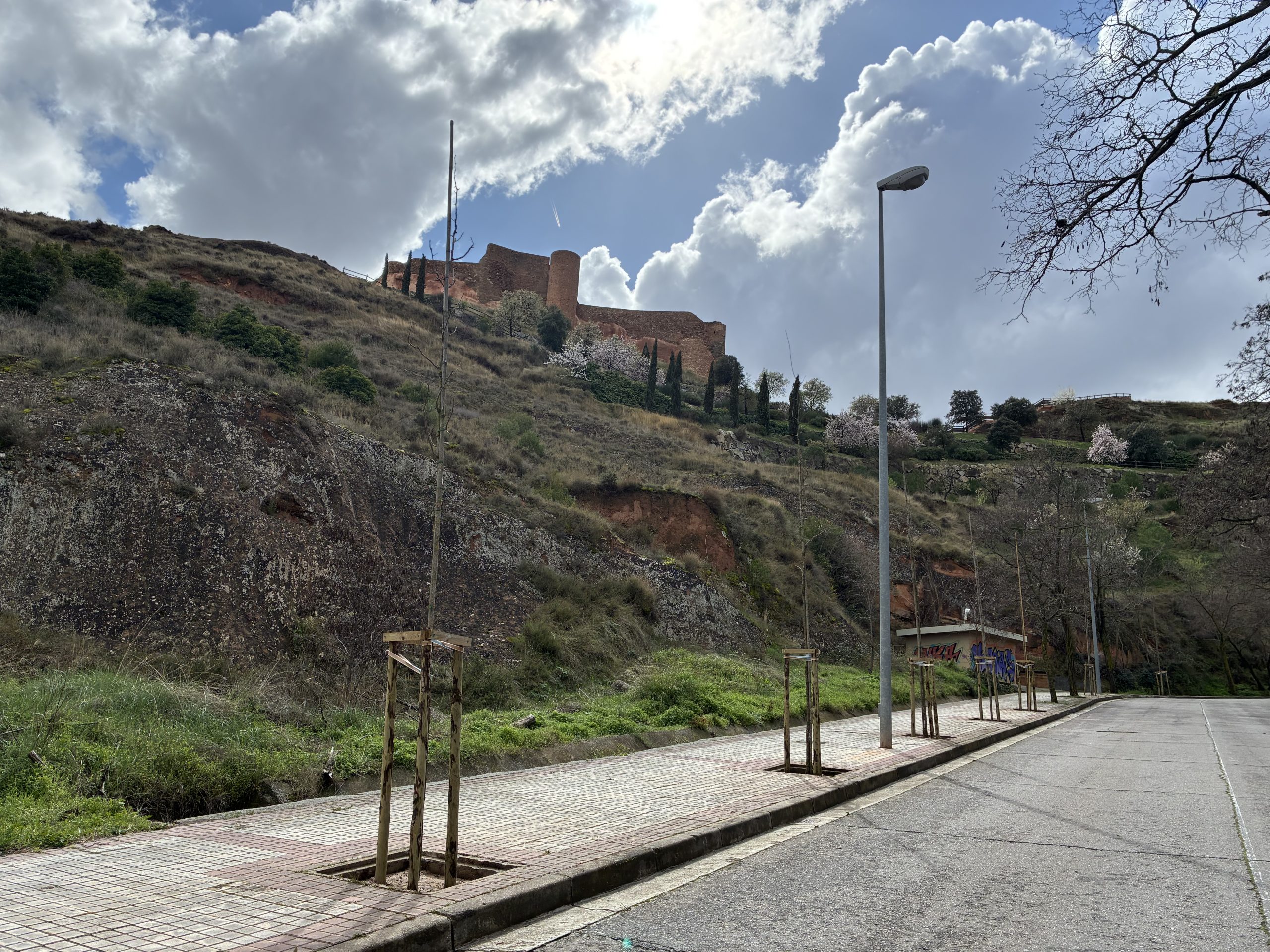 Arnedo impulsa la recuperación ambiental de El Campillo y la cuesta de La Veda con la plantación de 2.350 árboles