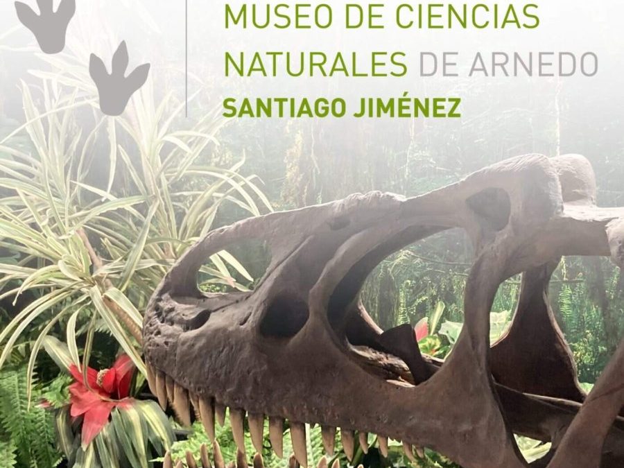 DÍA INTERNACIONAL DE LOS MUSEOS. Visita Guiada Museo Ciencias Naturales «Santiago Jiménez»